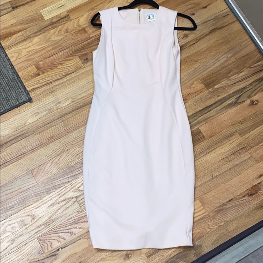 Calvin Klein Blush dress